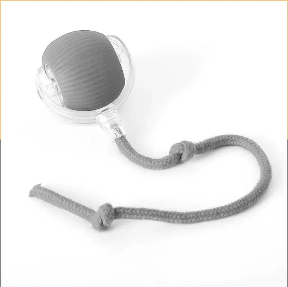 Auto-Rolling Play Ball for Pets
