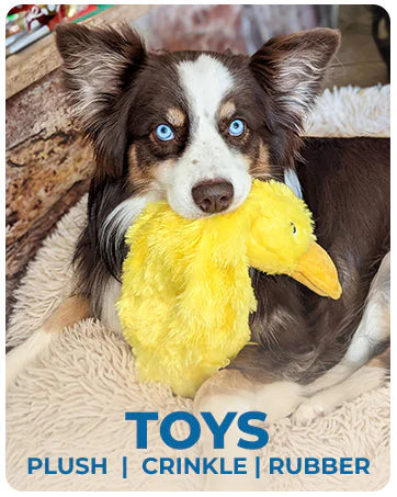 Crinkle Duck Dog Soft Toy with Squeaker
