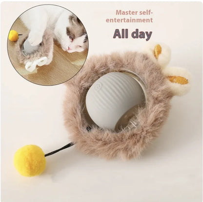 Auto-Rolling Play Ball for Pets