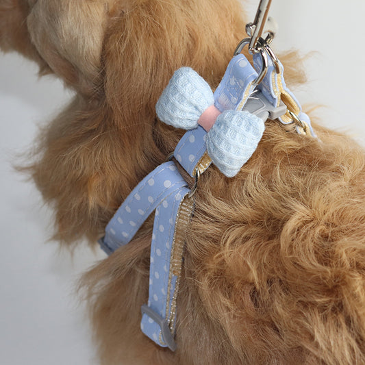 Adjustable Pet Dog Leash for Comfortable Walking