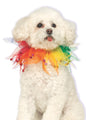 Rubies Fancy Rainbow Pet Collar Small/Medium