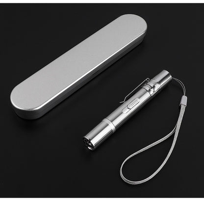 Beaming Pet Chaser Laser Toy