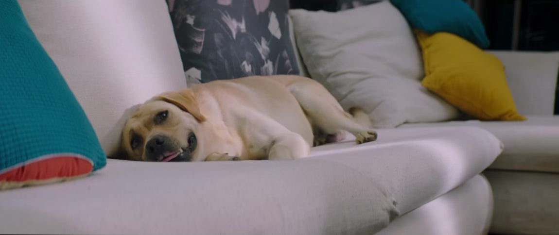Load video: 