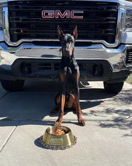 Snoop Doggies Doggs Deluxe Off The Chain Pet Bowl Gold