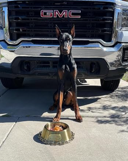 Snoop Doggies Doggs Deluxe Off The Chain Pet Bowl Gold