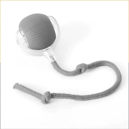 Auto-Rolling Play Ball for Pets